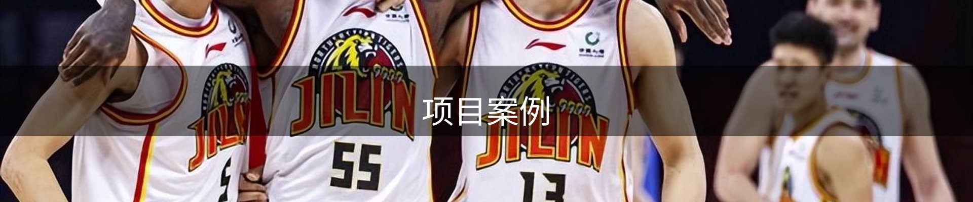 项目案例